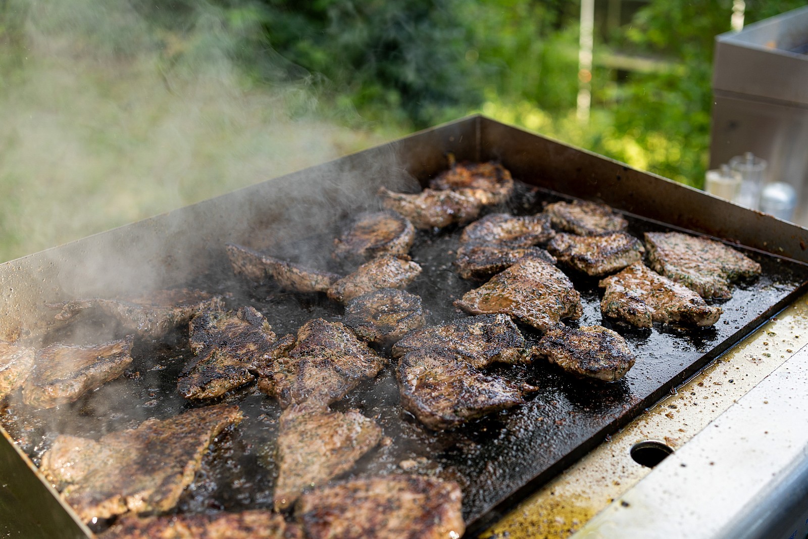 Bildergalerie unser BBQ | Grillbuffet