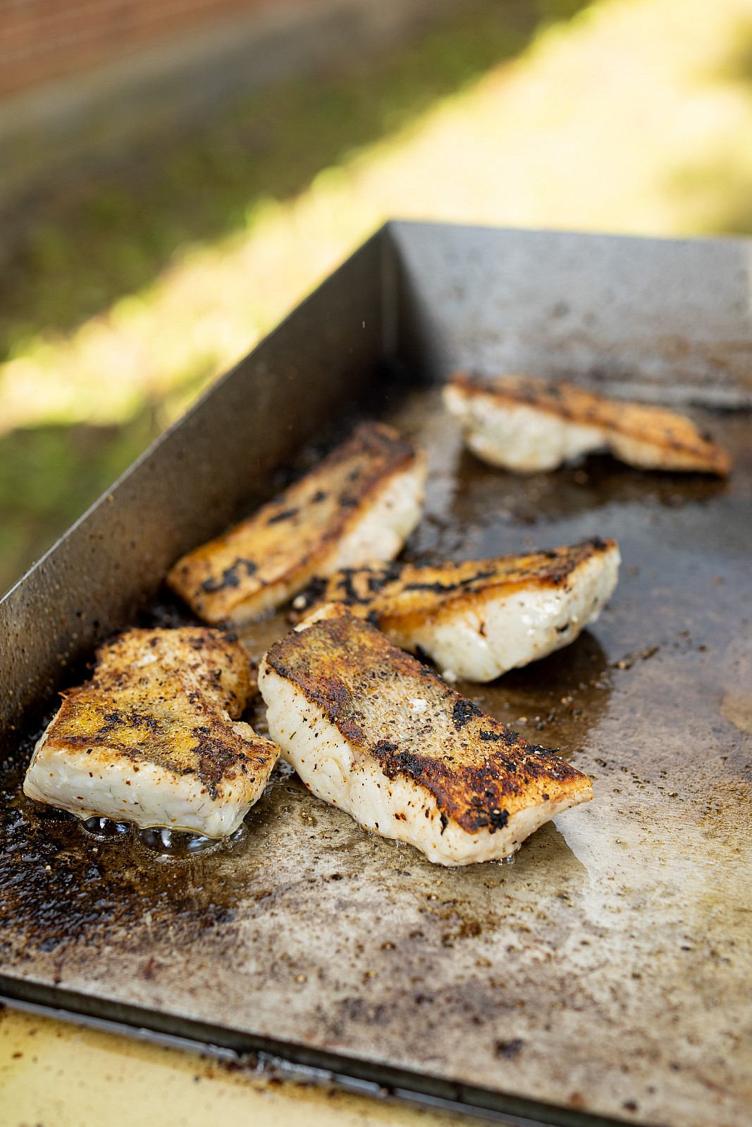 Bildergalerie unser BBQ | Grillbuffet