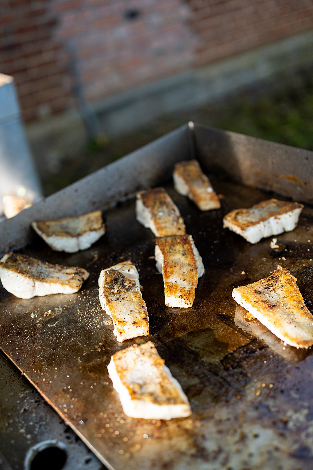 Bildergalerie unser BBQ | Grillbuffet
